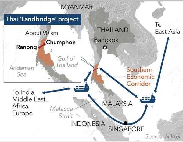 Thai kra 02